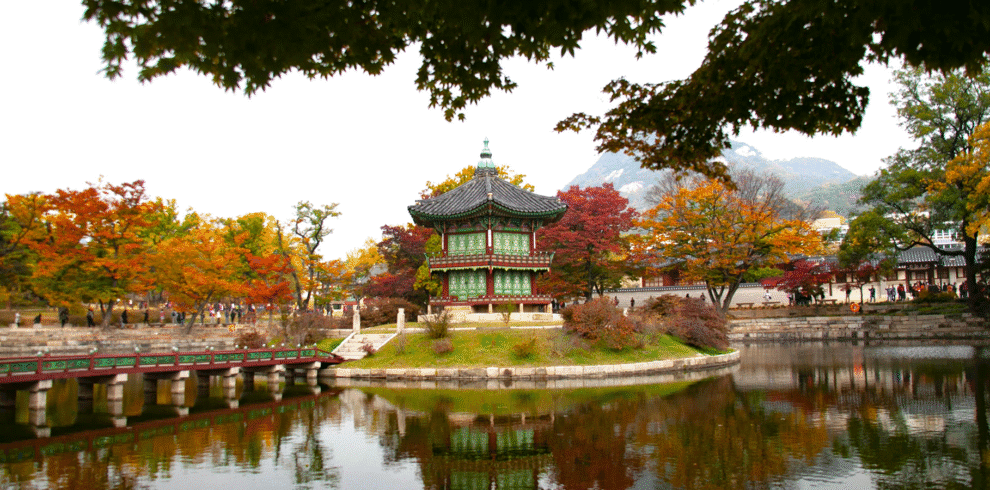 Japan & Korea Grand Tour - 10 Days - Luxury Tour (With Flight) | WPJ Travel 1 Japan & Korea Luxury Tour – 10 Days with Flight | WPJ Travel