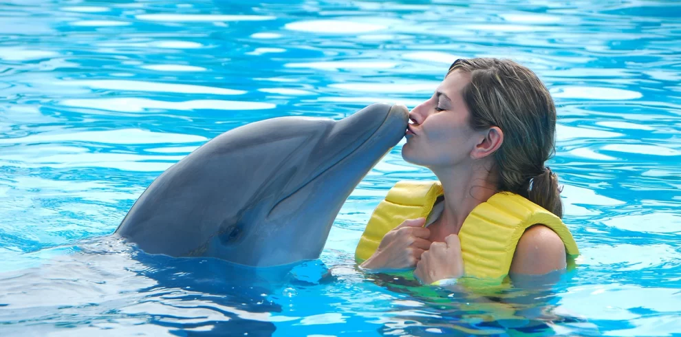 Dubai Dolphinarium Tickets – Dolphin & Seal Show | WPJ Travel | WPJ Travel 5 Woman interacting with a dolphin during a swim session at Dubai Dolphinarium, Creek Park.