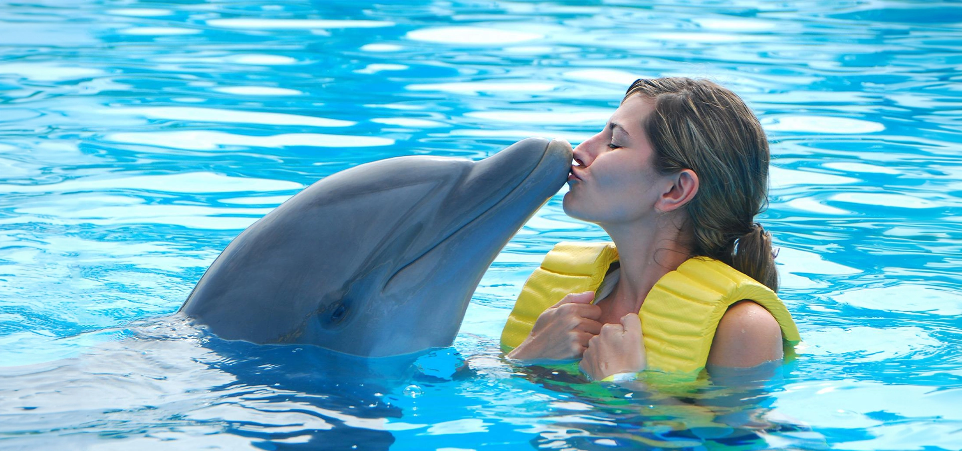 Woman interacting with a dolphin during a swim session at Dubai Dolphinarium, Creek Park.