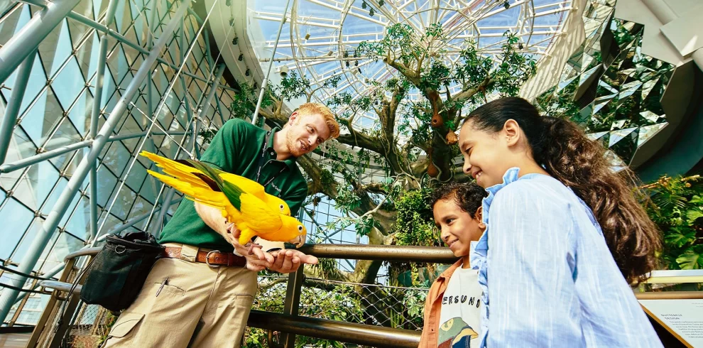 The Green Planet Dubai Tickets | Indoor Rainforest Experience | WPJ Travel | WPJ Travel 5 Visitors exploring the tropical rainforest ecosystem inside The Green Planet Dubai at City Walk.